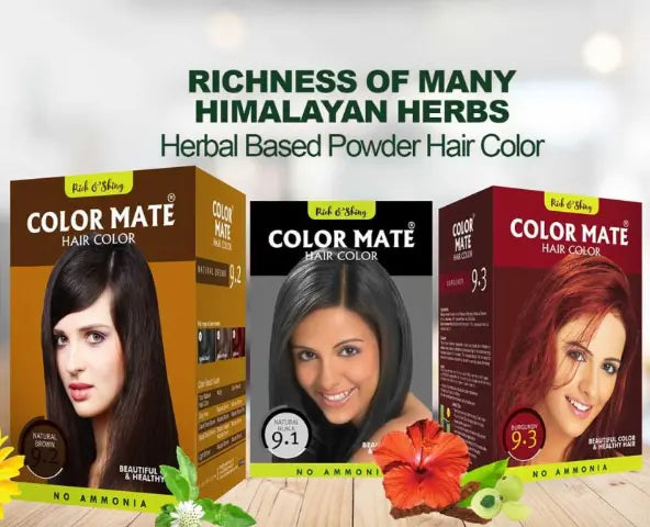 Color Mate Herbal and Henna Based Powder Hair Color Pack of 10 (Each 15g Sachetes) (Burgundy)