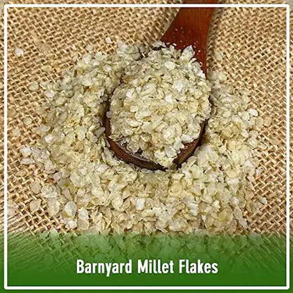 nalAmudhu Barnyard Millet Flakes | Jhangora Odalu Poha | Kuthiraivali Aval -330g